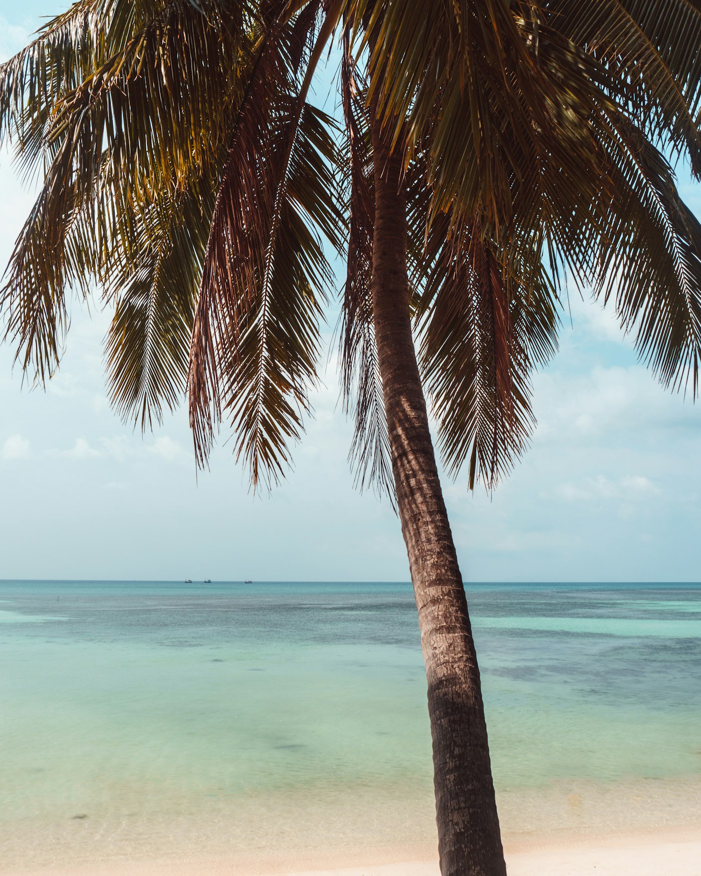 Winter in Ko Pha Ngan — view 2